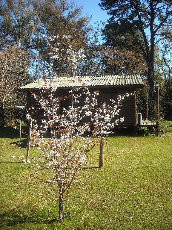 Cabanas Las Lavandas En Pilar Pilar  Buitenkant foto
