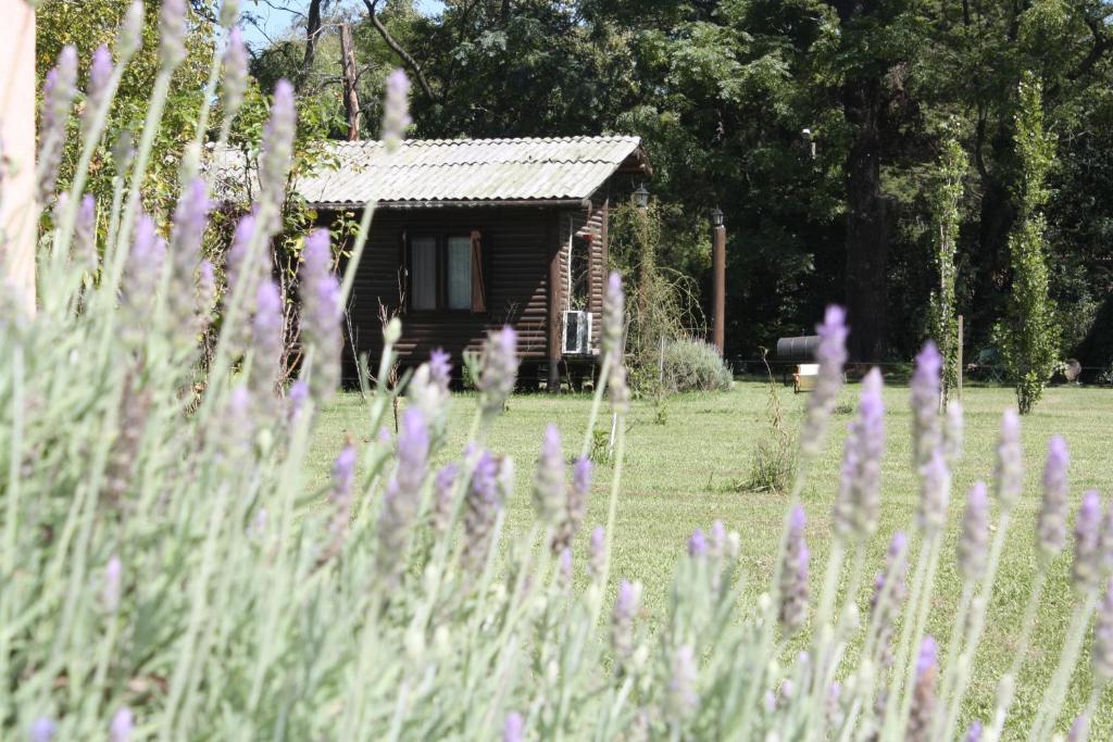 Cabanas Las Lavandas En Pilar Pilar  Buitenkant foto